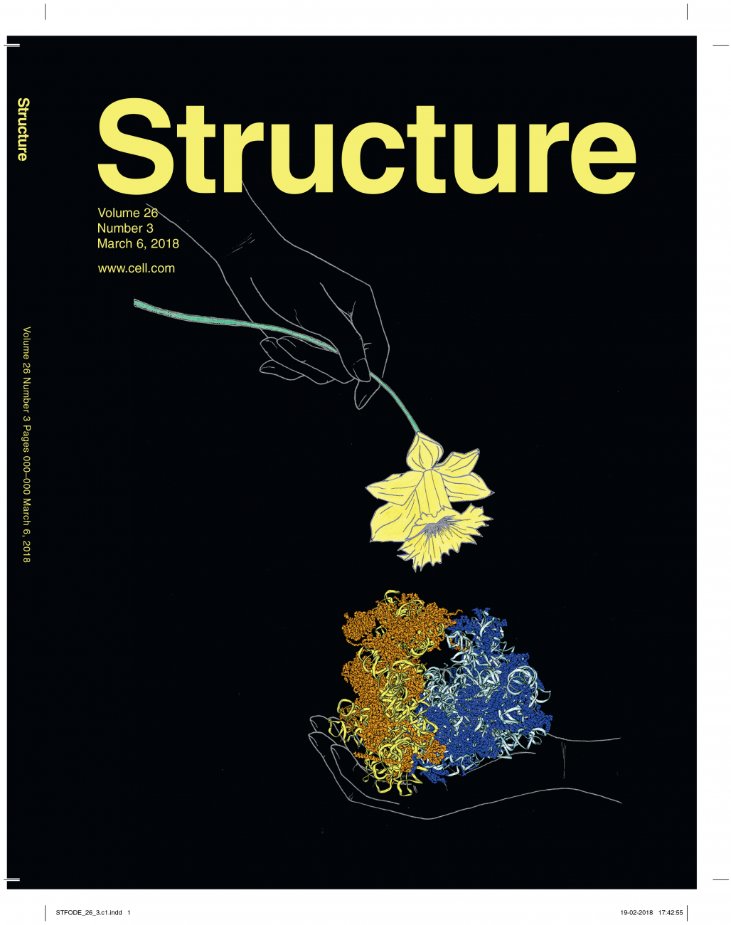 CoverStructureMarch2018